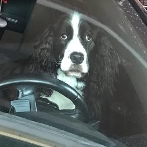 Meet your Posher, Cathy